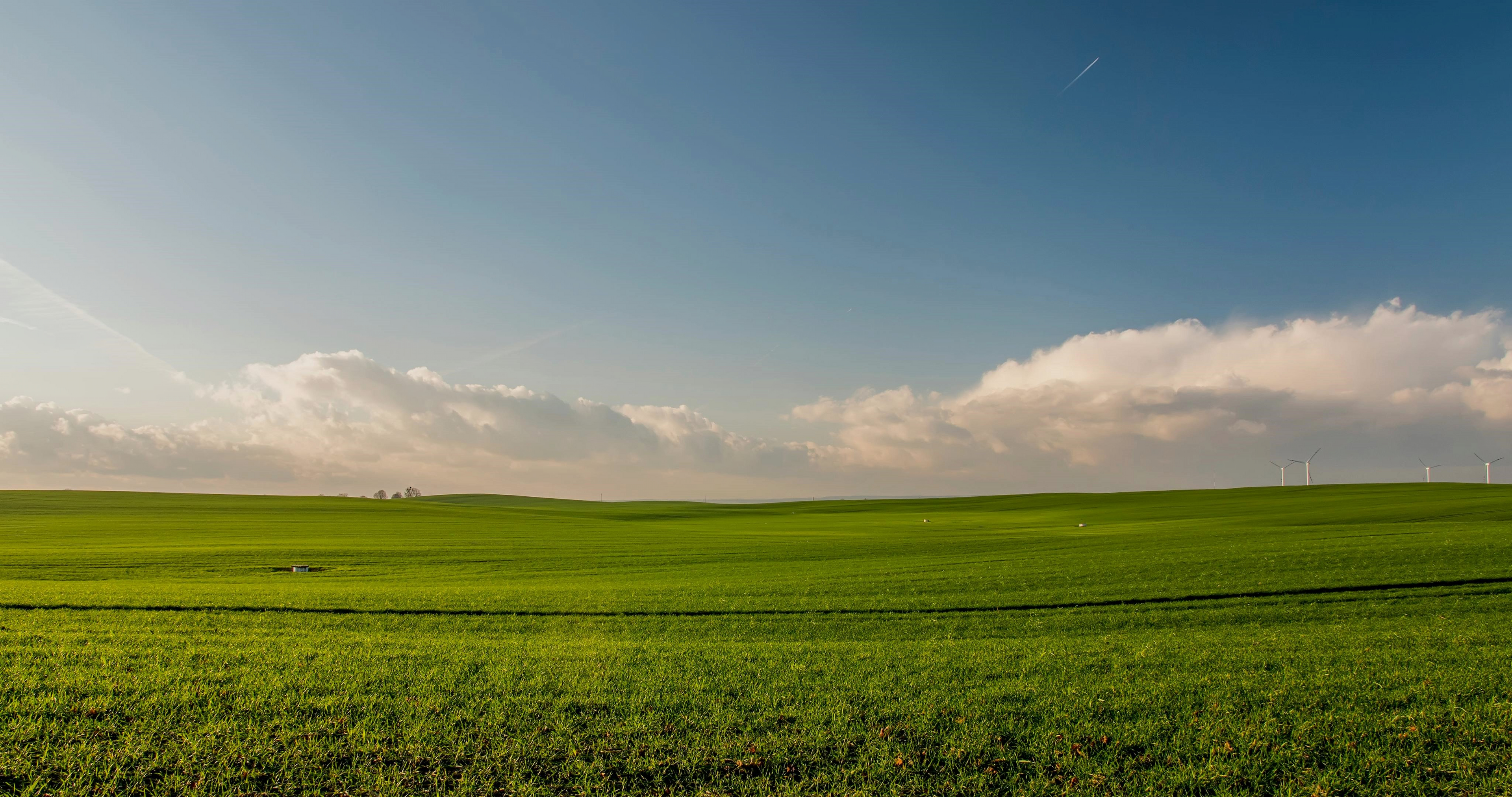 land